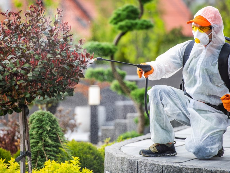 Koyundere Haşere İlaçlama